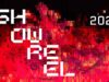 Touchdesigner Showreel 2025