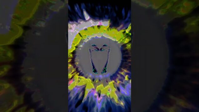 27 Wilderness Years by Slownoise  #touchdesigner #creativecoding