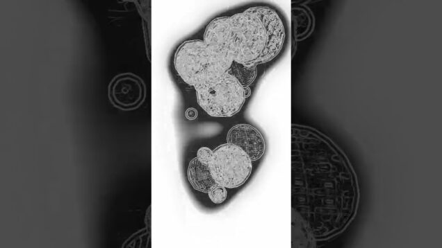 accidentaly alliteration #touchdesigner #ableton #maxmsp #glitch #shorts #electronic #noise