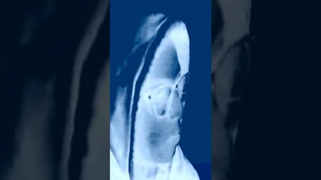 an angel at my table #electronicmusic #music #touchdesigner