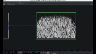 Bioluminscent tentacle tutorial Pt 1 – TouchDesigner