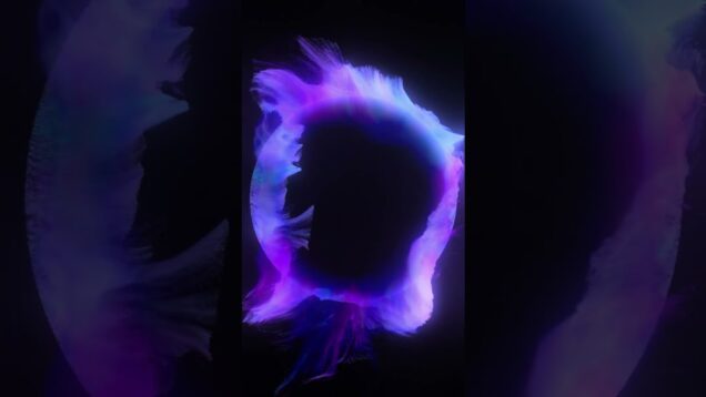 circle : )  #3dcompositing #abstract #abstractart #3danimation #touchdesigner #particles