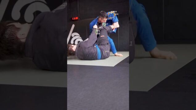 controlled chaos ⛓️ #bjj #martialarts #touchdesigner