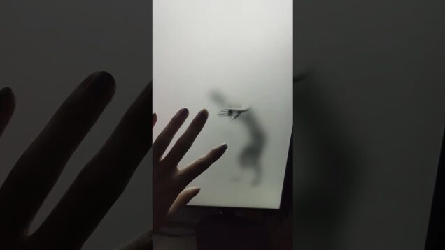 Does he know? How does he feel? #touchdesigner #digitalart #simulation #cymatics #3dmodeling