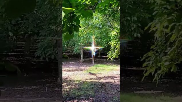 entity 6339 located #digitalart #dreamcore #touchdesigner