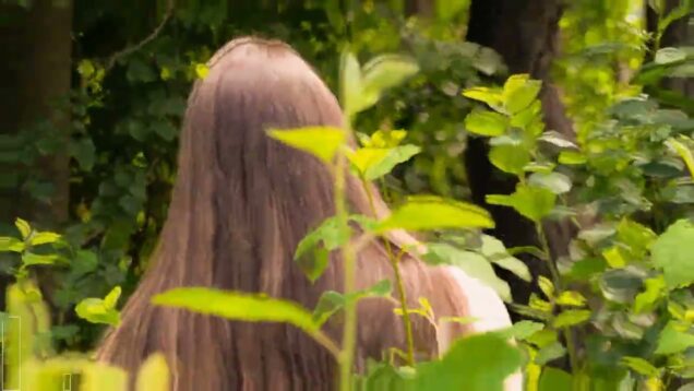 "Forest" Touchdesigner project