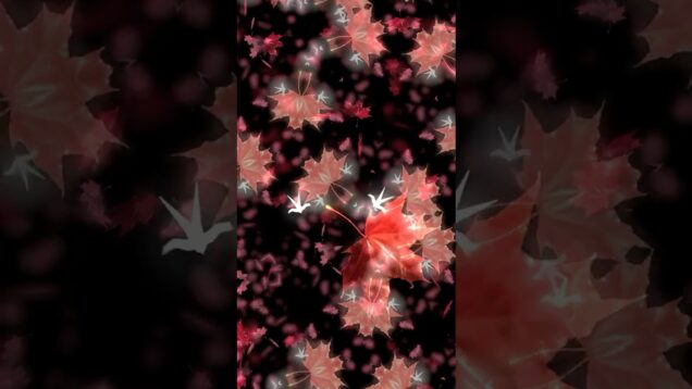 Mini Music Movie #shorts #trees #leaves  #fallingleaves #twente #oaktree #touchdesigner