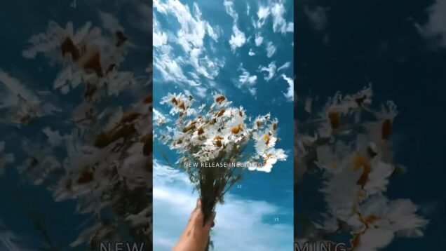 sound growsfrom silence.-."skybreeze"⟶ july 18🌱