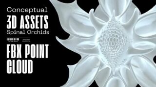 Spinal Orchids  -3D Assets for Immersive Installations | TouchDesigner, Unreal, Blender