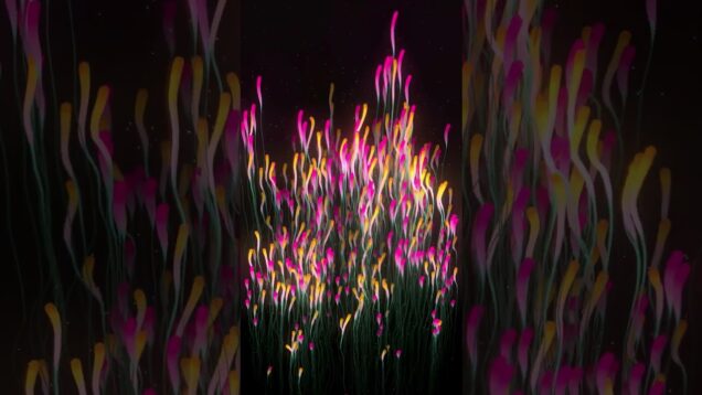 [TD Lab] Plants #TouchDesigner #tutorial