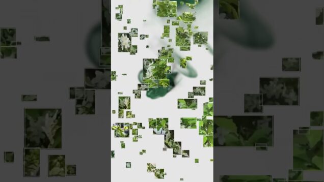 This is my new track. "skybreeze", July 11