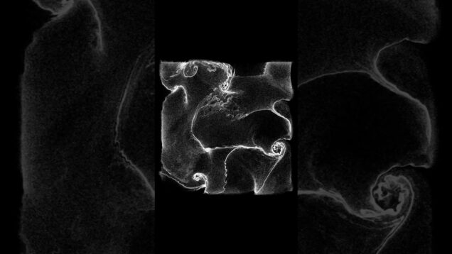 Touch Designer Trial #5