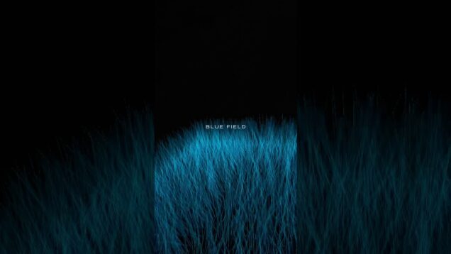 TouchDesigner Animation by Cupca for „Blue Field“