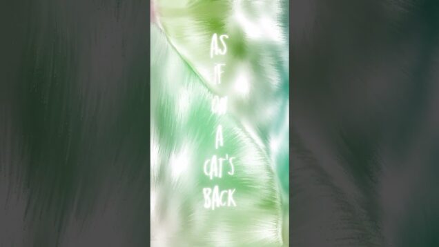 TouchDesigner | Fuzz Evolution #generativeart #abstractlayers #art #abstractanimation