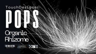 TouchDesigner POPs: Organic Rhizome Simulations Using Noise Modulation Techniques with Math Mix