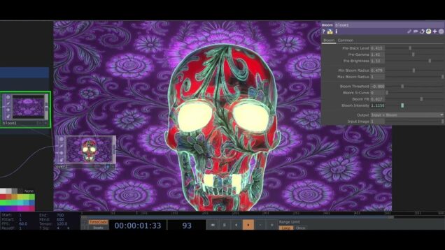 TouchDesigner The Editor's Cut Floral Red