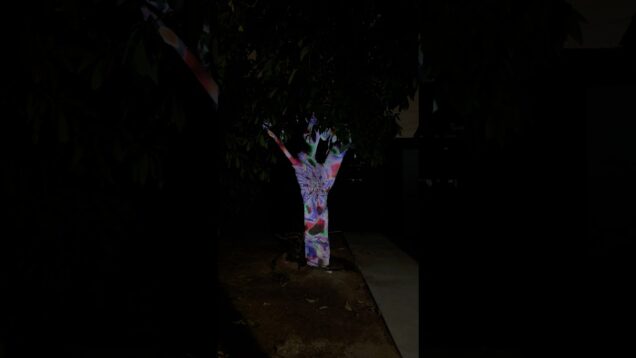 Touchdesigner video mapping on a tree! #touchdesigner