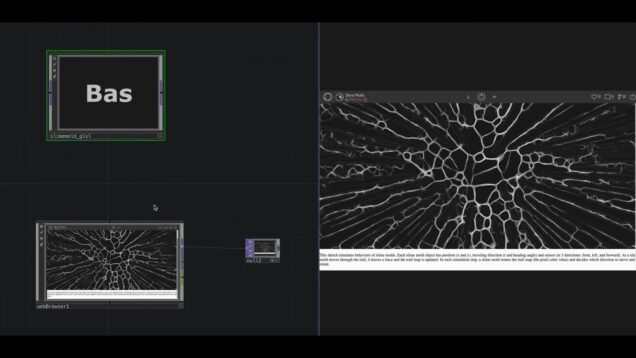 3D Slimemold – POP GLSL TouchDesigner