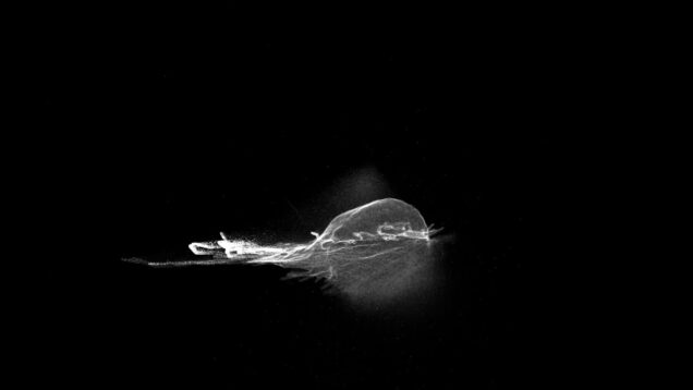 Abstract Movie with TouchDesigner