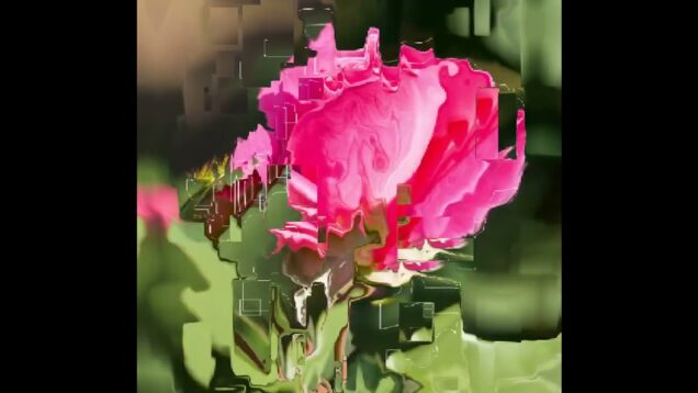 🌺 Audio-Reactive Glitch Rose | TouchDesigner Art