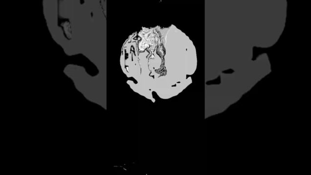 🕸️  #audioreactive #arkestra #touchdesigner #generativeart