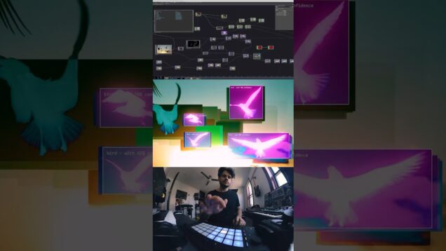 Bird with 68% confidence. Mixing machine vision and underground beats in #touchdesigner
