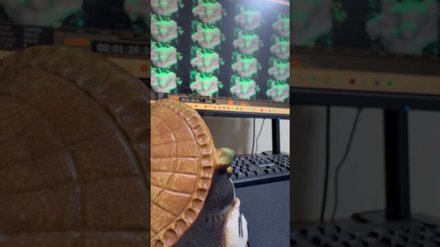 デジタルたぬき職人/#blender  #b3d #touchdesigner