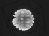 Blooming fractal blob – TOUCHDESIGNER Audiovisual