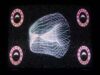 Ctenophore CRT Visual – TouchDesigner