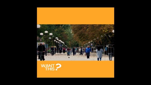 Effect like Touch Designer in After Effect.