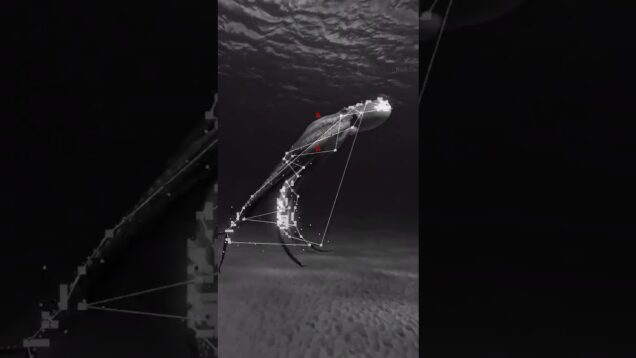 #generative #touchdesigner #naturelovers #beautiful