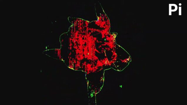 Matrix like audio particles part 3 – TOUCHDESIGNER Audiovisual