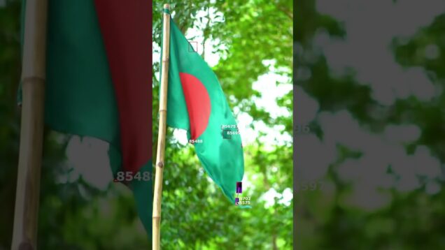 “Me: just testing TouchDesigner…Also me: accidentally created the national anthem DLC 🎶🇧🇩”😂😂