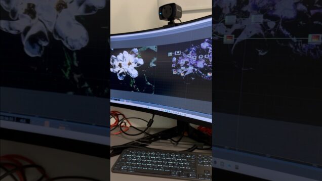 [ Musical Flowers ] audio reactive project in TouchDesigner