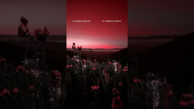 #nature #touchdesigner #generativeart #generative #mediaart