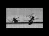 Spider VS Bee – Dithering- #touchdesigner