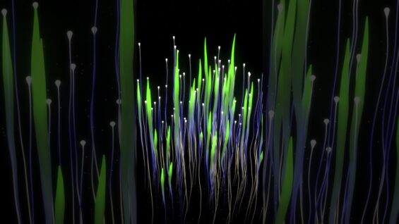 [TD Drop #35]  # TouchDesigner #tutorial