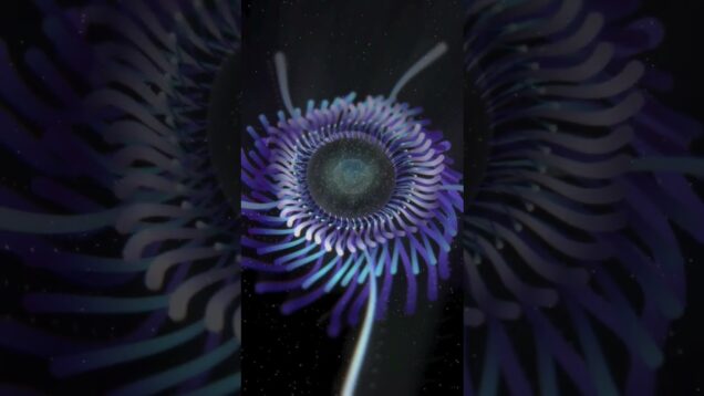 [TD Lab] Organism #TouchDesigner #tutorial