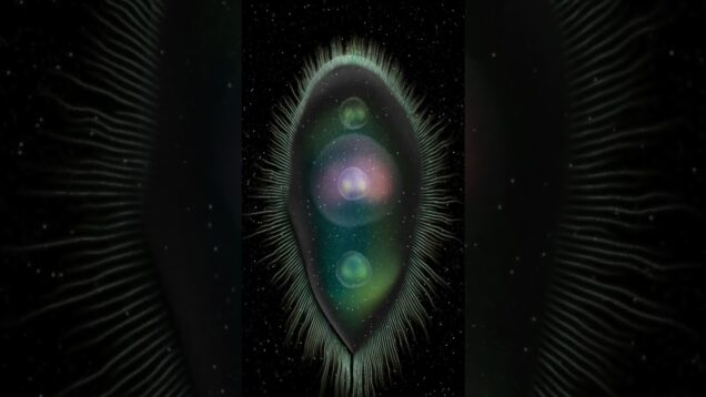 [TD Lab] Organism #TouchDesigner #tutorial