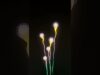 [TD Lab] Plants II #TouchDesigner #tutorial
