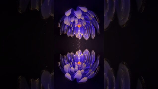 [TD Lab] Plants #TouchDesigner #tutorial