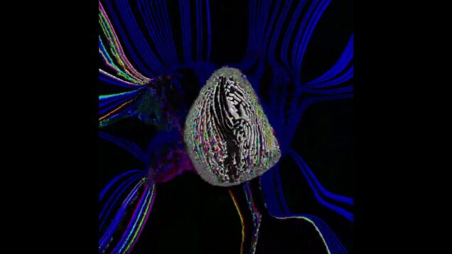 Touch Designer Trial #6