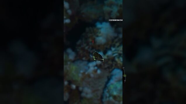 #touchdesigner #mediaart #art #generative #generativeart #artwork #nature