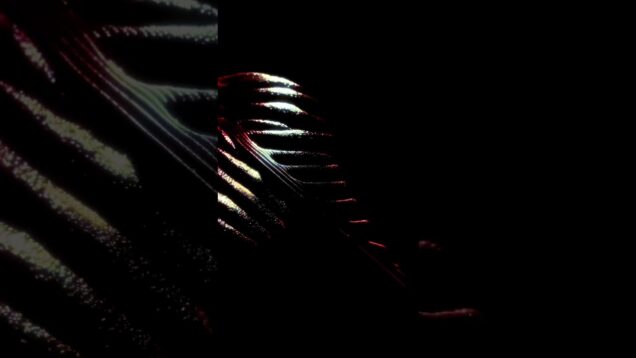 TouchDesigner Organic Growth