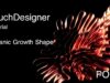 TouchDesigner POPs Tutorial: Organic Growth Shape