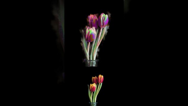 tried something new with touchdesigner. #phonkmusic #touchdesigner #music #avee_player #vfx