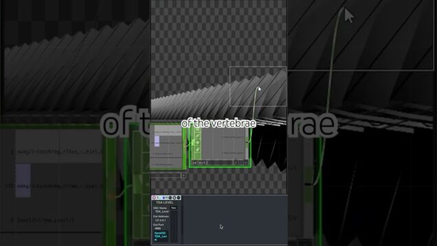vertebrae bts 🩻 #lunarcalendar #touchdesigner #ableton #creativecoding #bts #timelapse #tdableton