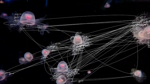 VFX Blob Tracking in TouchDesigner (Free & Commerical License) | BlobTracker v2.0