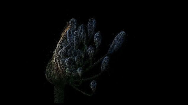 Audio Reactive Pacticle Object (Flower) #touchdesigner