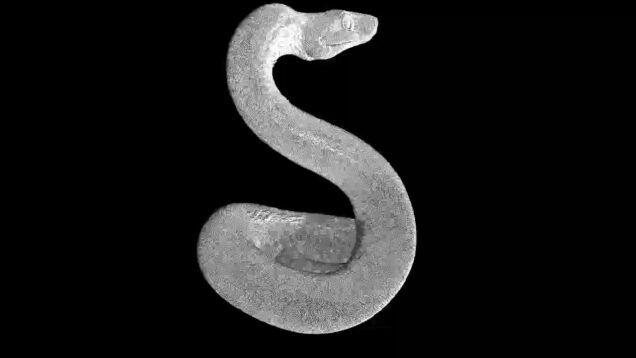 Audio Reactive Visual Object (Statue Women, Snake, Piramid) #touchdesigner